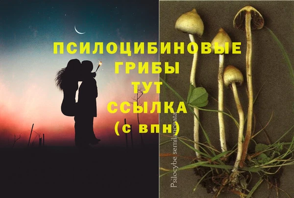 PSILOCYBIN Ростов