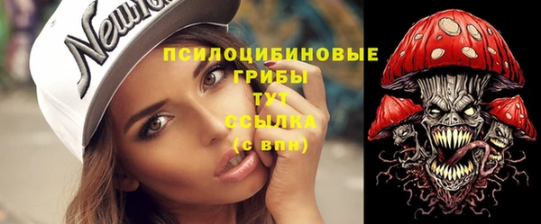 прущие крисы Армянск