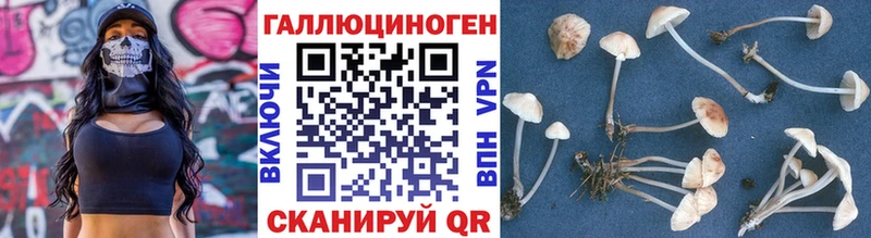Псилоцибиновые грибы MAGIC MUSHROOMS  МЕГА ТОР  Аша 