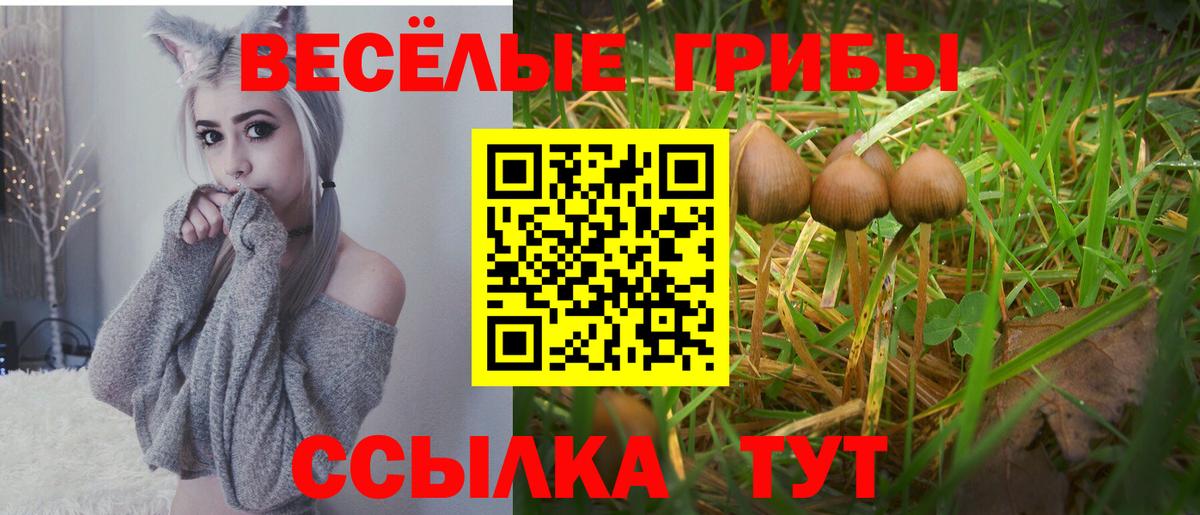 Галлюциногенные грибы MAGIC MUSHROOMS Аша