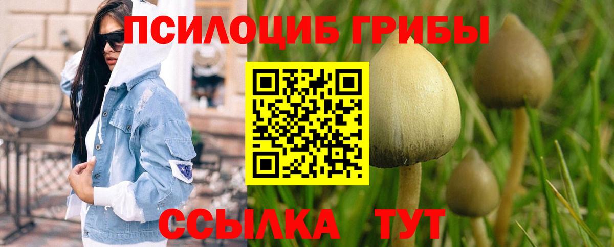 Псилоцибиновые грибы ЛСД  Вход с VPN  Аша 