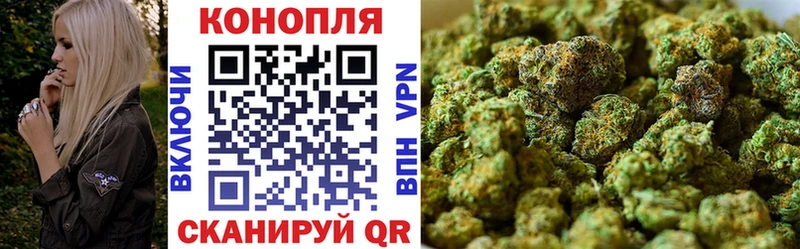 где найти   Аша  Канабис SATIVA & INDICA 
