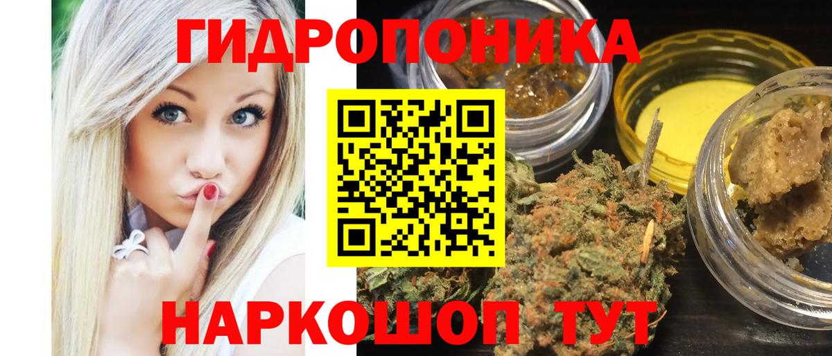 Конопля планчик Аша
